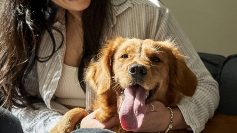 No More Ruff Goodbyes, Travel With Ease & Let Petbae Take Care Of The Rest