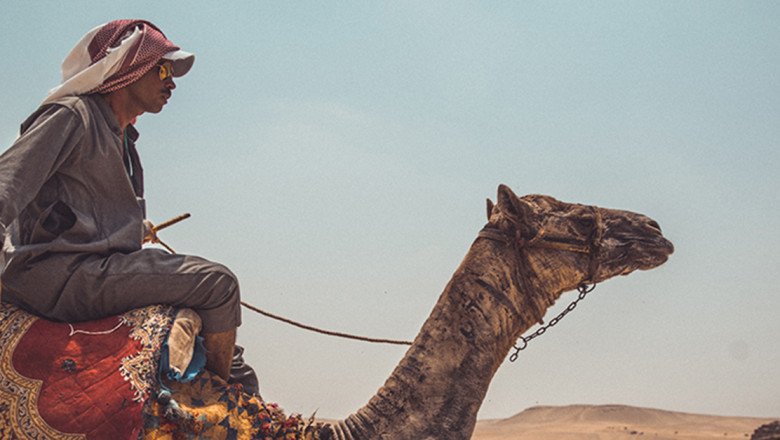 What’s On the Bookshelf: Get immersed in narratives from the Arab world