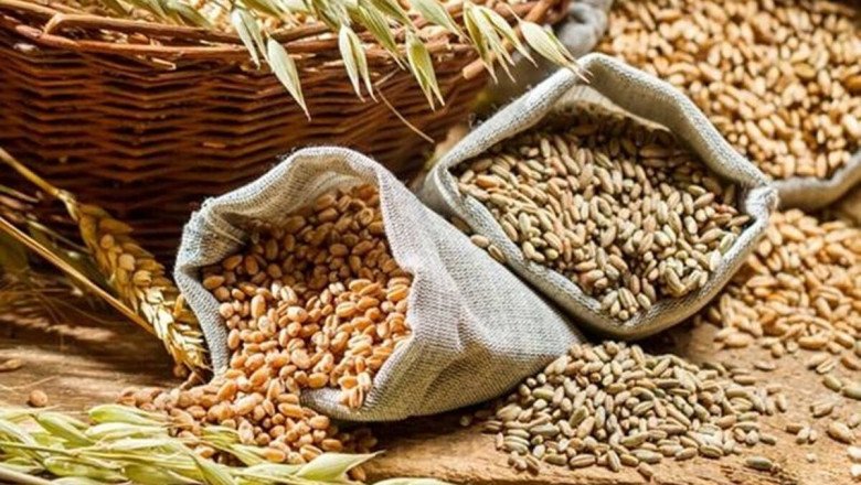 Review Open-Ended Grain Procurement: CACP