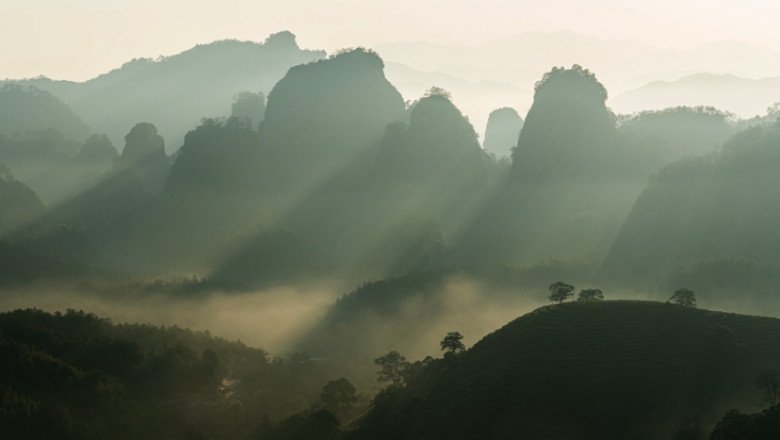 A sip of tea, a discovery of China