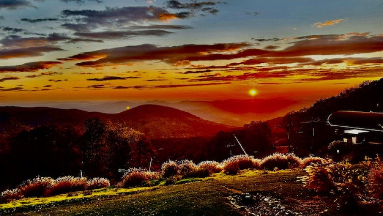 The Magic of the Mountain: My Perfect Healing Recipe