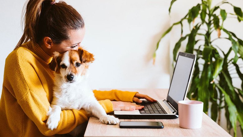 5 Benefits of Having Dogs at Work