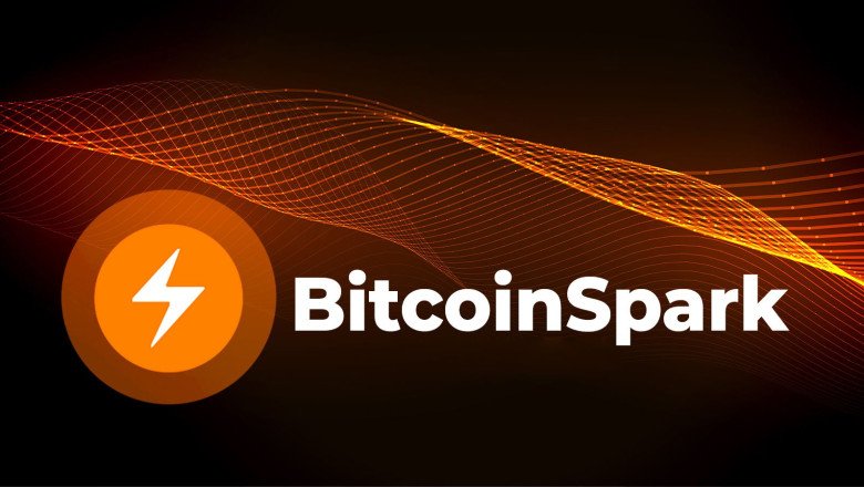 Cardano and Quant Network Activities Surge Amid Price Drops