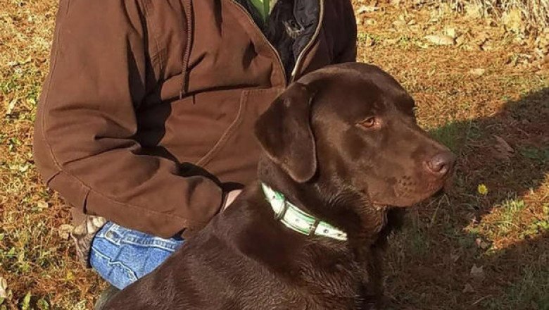 Tennessee nurse died searching for a man stranded in Hurricane Helene floodwaters