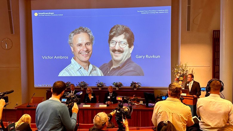 What to Know About MicroRNA, the Nobel-Prizewinning Discovery