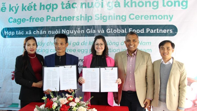 Global Food Partners’ Impact Incentives Program Drives Vietnam’s Largest Transition to Cage-free Egg Production