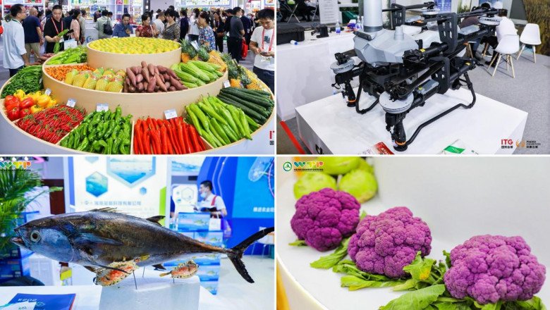 Over 2,000 Enterprises Worldwide Join China (Hainan) International Trade Fair for Tropical Agricultural Products