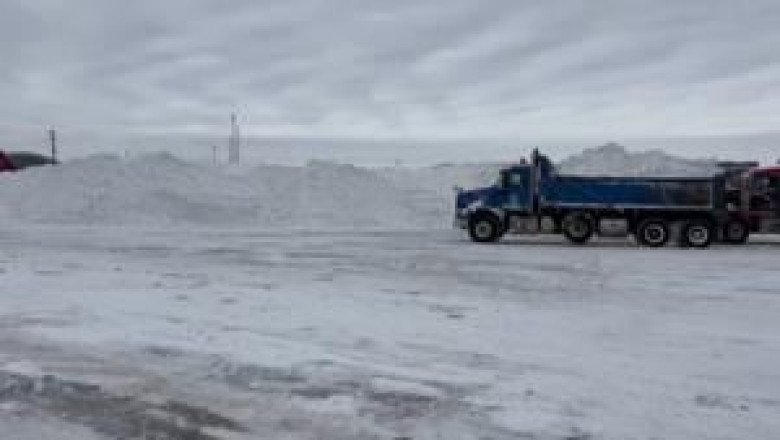 Toronto's snowstorm has cancelled or delayed flights at Pearson. Here's