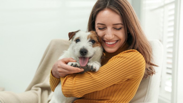 Why Are Pets Good For Mental Health? Everything You Need to Know