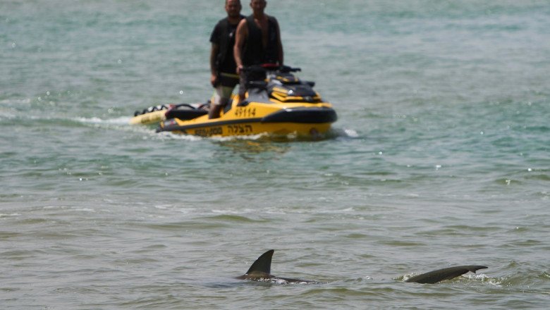Shark attack victim’s remains found in waters off popular beach in Israel after 2-day search