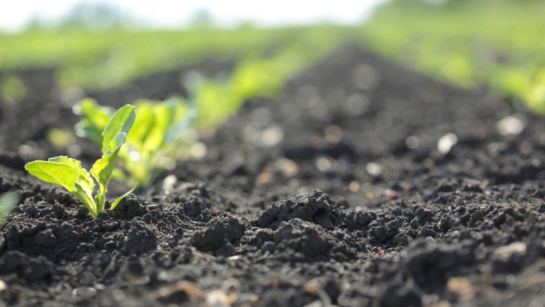 How XPrize Winner Mati Carbon Is Helping Farmers—And the Planet