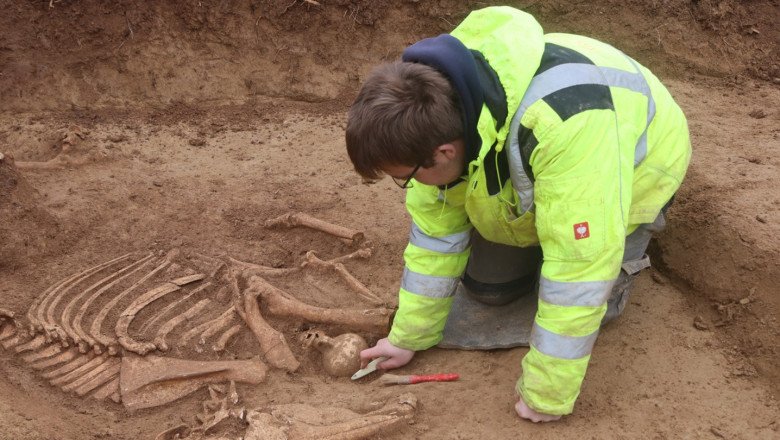 Archaeologists in Germany uncover more than 100 ancient Roman horse skeletons