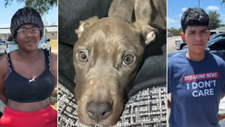 ‘Bones with skin:’ 2 arrested after starving puppy found in Brevard home bathroom