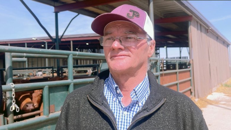Record-breaking cattle prices a lifeline for farmers facing inflation, trade tensions