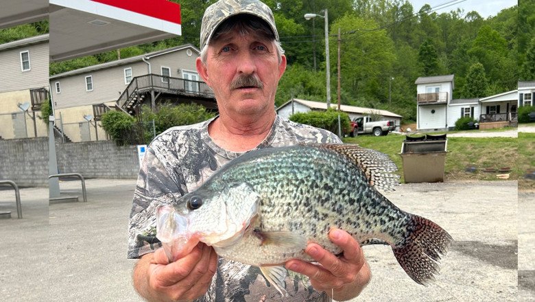 Black crappie fish record broken in West Virginia with 3.6-pound freshwater fish