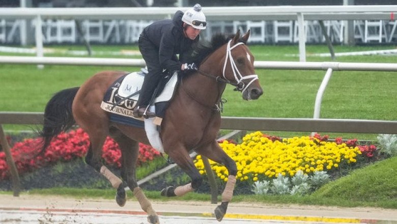 Meet the Preakness Stakes horses running in the 2025 race