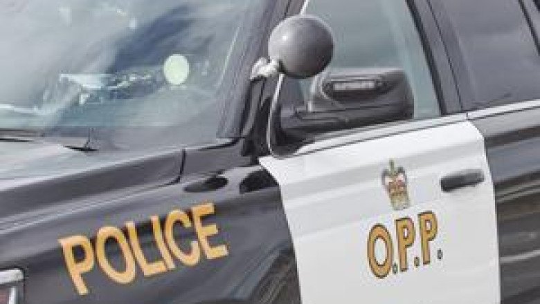 ‘Sudden and heartbreaking loss’: Four Walkerton teen students, school staff member killed in crash near London, Ont.