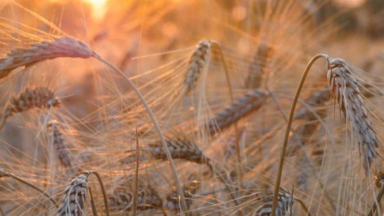 Preserving mankind’s food source in the Arctic tundra