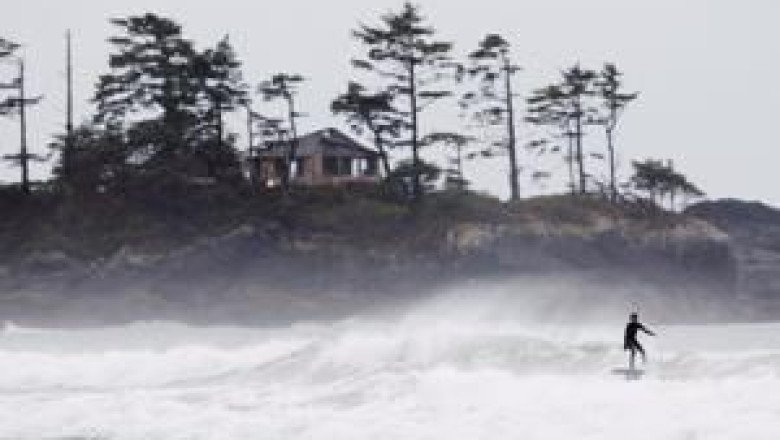 Six-foot boa constrictor goes missing from beach in Tofino, B.C.