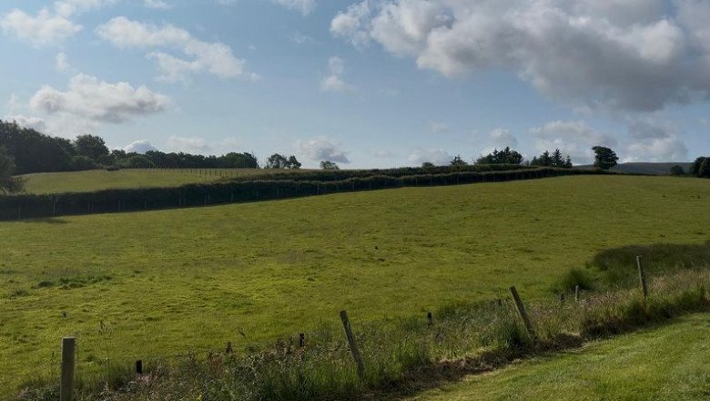 Farming: Cost of rural crime in Wales at its highest in more than a decade | UK News