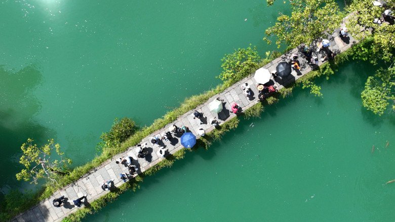 Guizhou’s Fruitful Eco-Construction: from ‘Experimental Zone’ to ‘Pilot Zone’