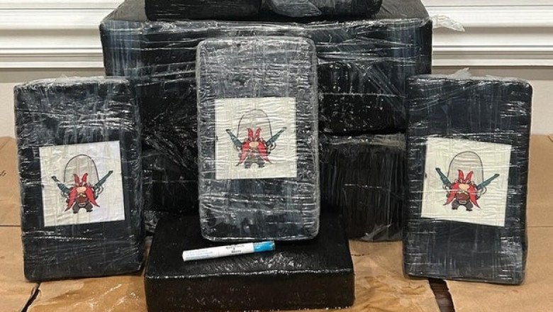 Florida beachgoer finds nearly half a million dollars of cocaine wrapped in “Yosemite Sam” packaging