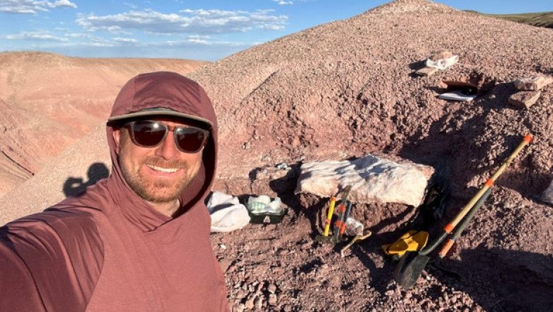 North America’s oldest known pterosaur, a flying reptile the size of a “small seagull,” discovered in Arizona, researchers say