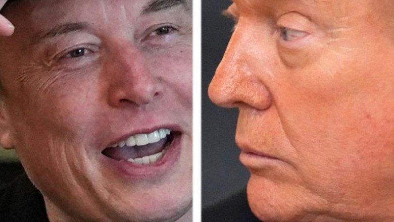 Tesla shares sink as Musk launches political party | Money News