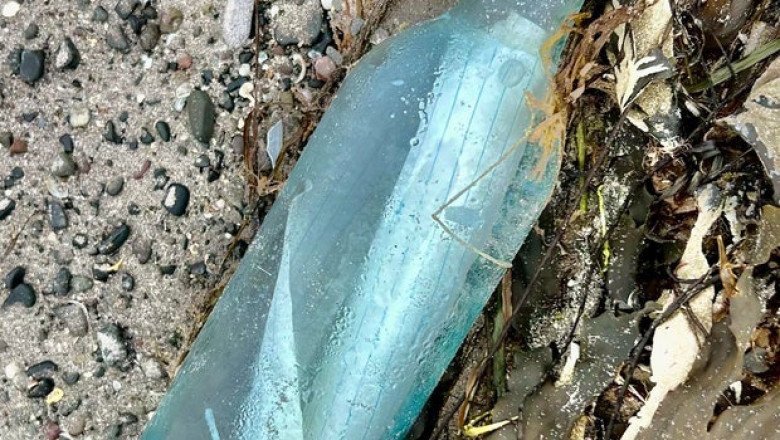 Canadian couple’s message in a bottle found 13 years later 2,000 miles away: “A metaphor for resilience”