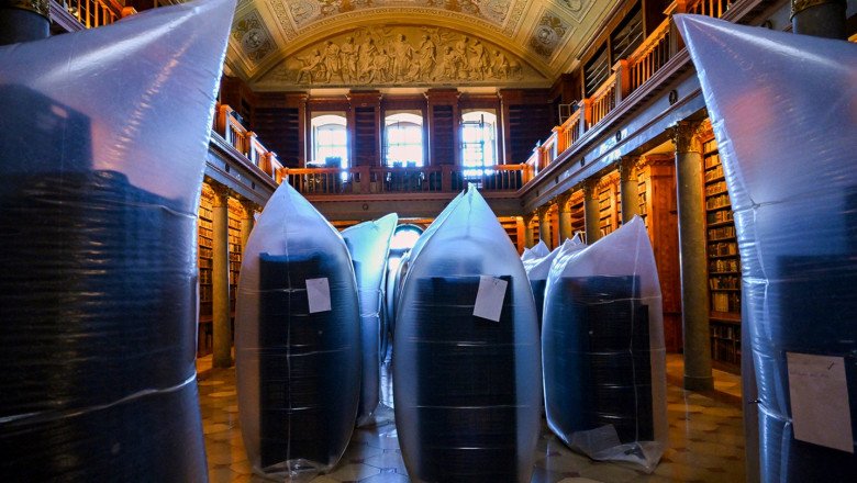 Historic books at risk as massive beetle infestation hits Hungarian monastery