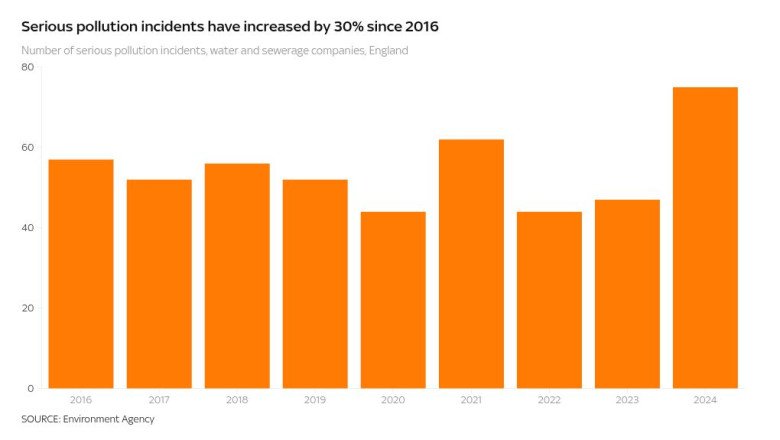 Serious water pollution incidents in England up 60% last year – with three companies blamed for most | Money News