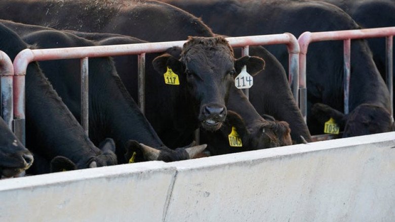 Trump admin. touts “major trade breakthrough” as Australia says it will ease U.S. beef import restrictions