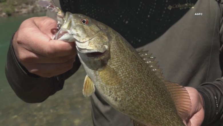 Arkansas set to hosting stop in upcoming 2026 Bass Pro Tour