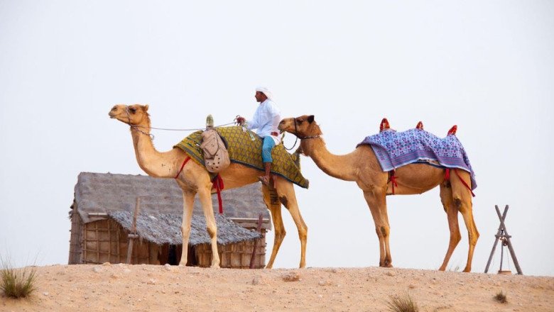 Desert Safari Dubai Cost: Everything You Need to Know