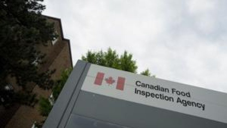 Plant-based spread sold in Canada recalled over undeclared milk