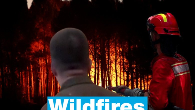 Heatwaves and wildfires: Europe battered by the consequences of global warming