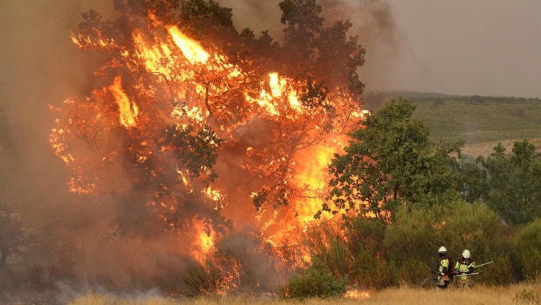 Spain calls for help from European allies amid raging wildfires