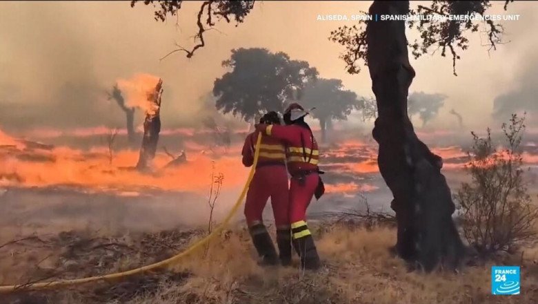 Spain and Portugal battle wildfires as death toll mounts