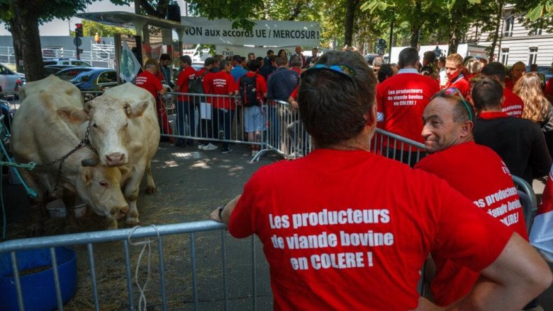 EU approves draft Mercosur trade deal with ‘robust’ protections for farmers