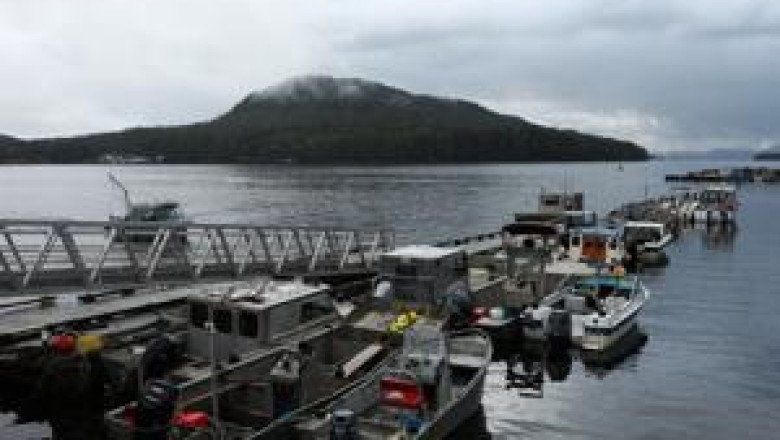 4.8 magnitude earthquake off Bella Bella, B.C., no damage expected