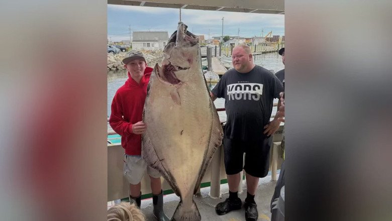 Rare 177-pound halibut caught by teen off New England coast could break record