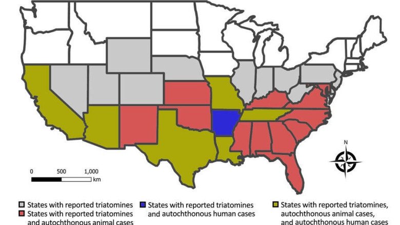 Chagas disease, or deadly “kissing bug” disease, has spread in the U.S. Here’s what to know.