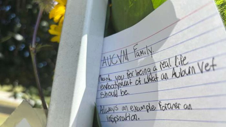 Murder of former Auburn professor at city park shakes community