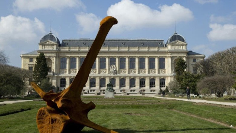 Gold worth $700,000 stolen from Paris’s Natural History Museum amid string of similar heists