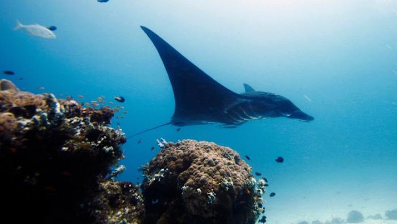 UNESCO designates 26 new biosphere reserves amid biodiversity challenges and climate change